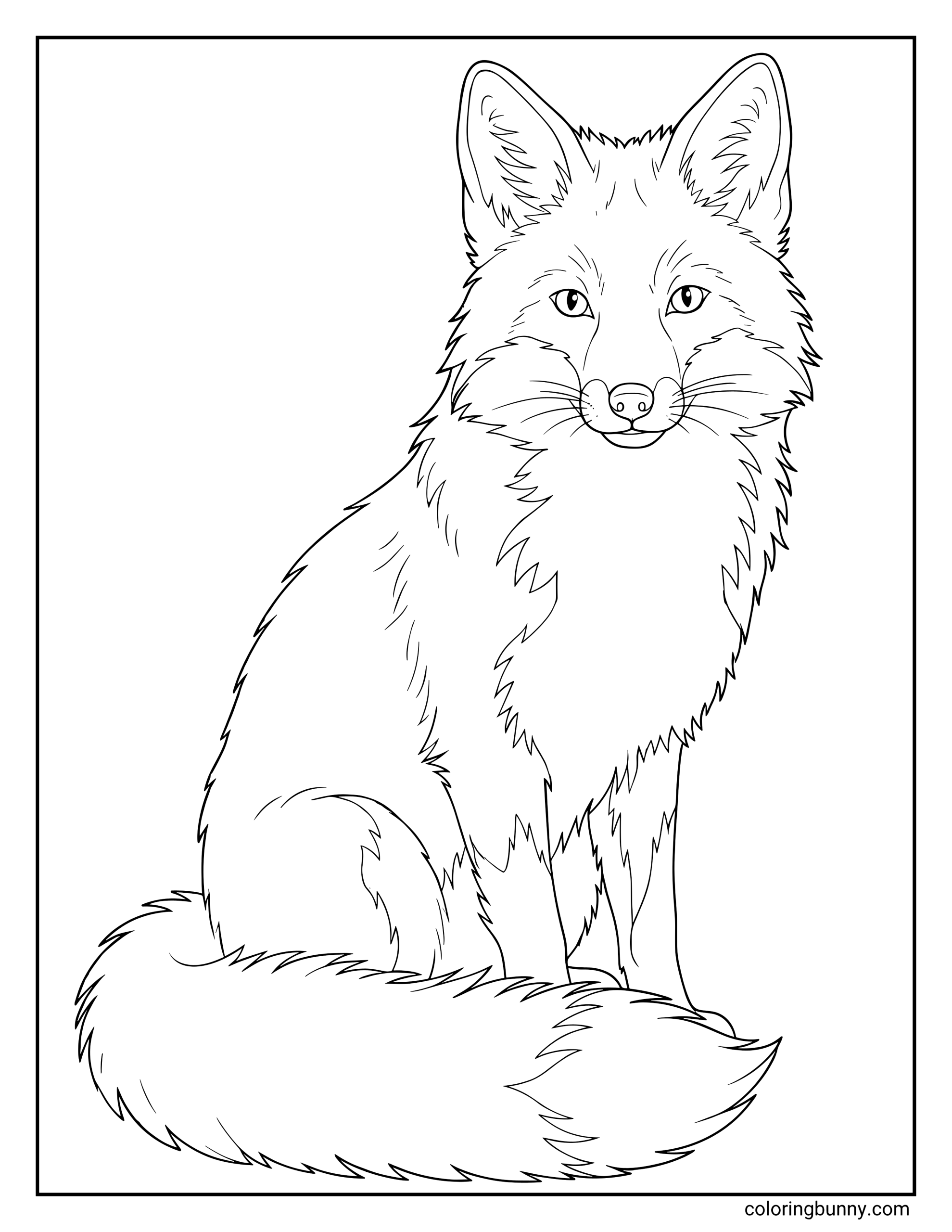 A coloring page of a clear and detailed fox sitting gracefully in a side profile view, looking forward with its large ears up and a long, fluffy tail wrapped around its feet.