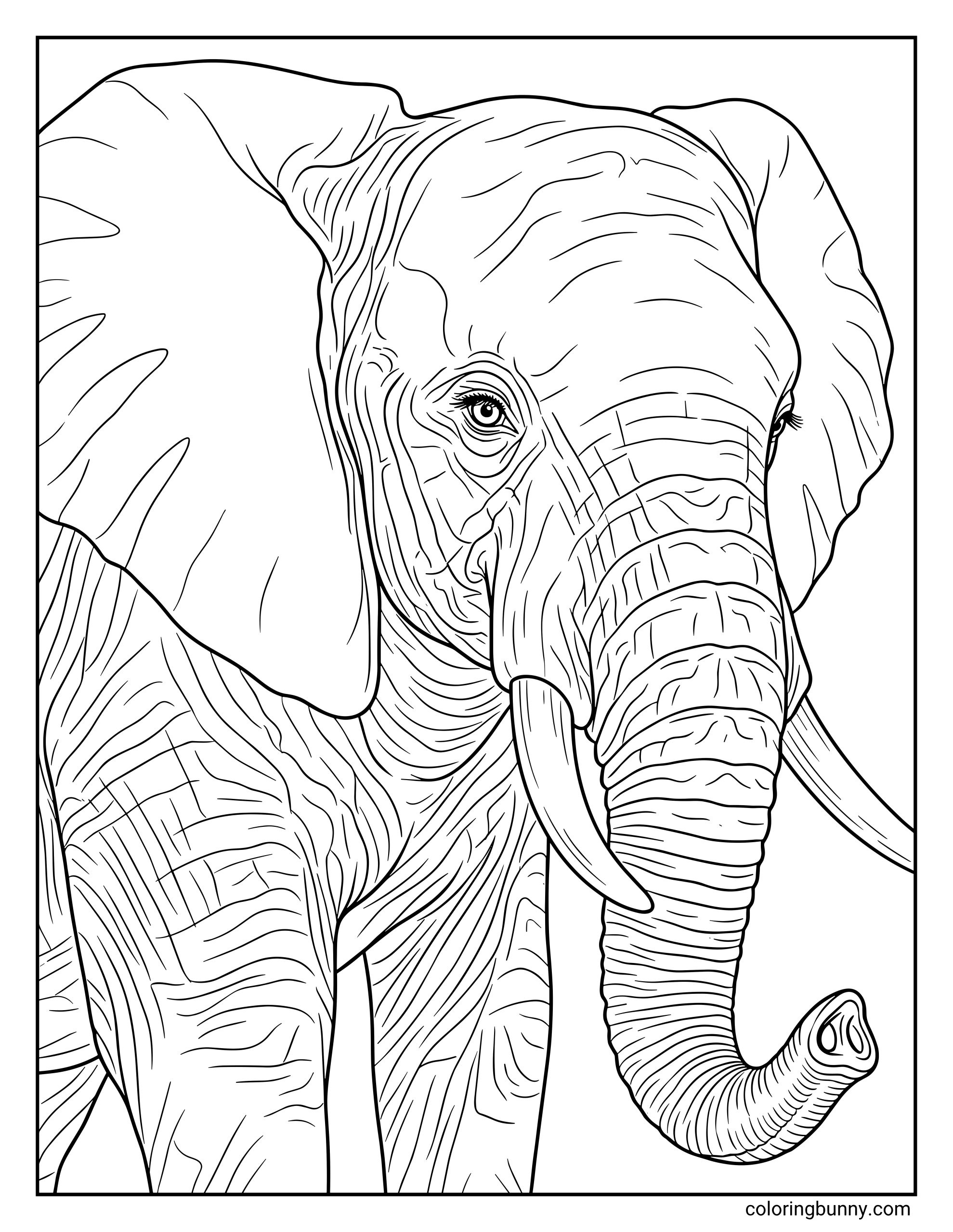 A detailed Up Close Realistic Elephant Coloring Page showcasing the intricate wrinkles and textures of an adult elephant's face, wide ears, and powerful tusks.